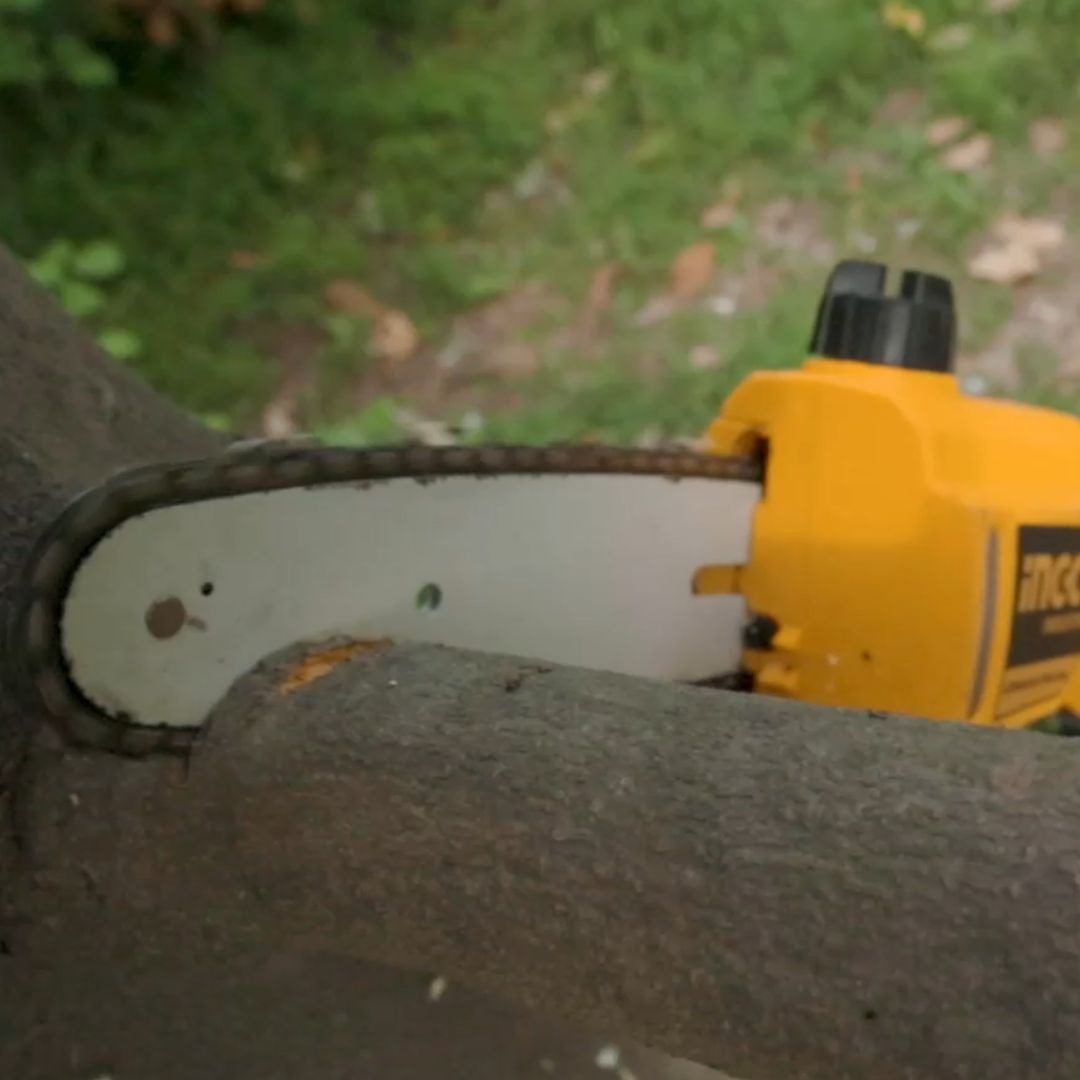 Ingco 20V Pole Hedge Trimmer & Saw Kit | Cordless | P20S