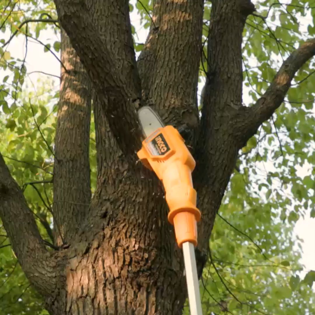 Ingco 20V Pole Hedge Trimmer & Saw Kit | Cordless | P20S