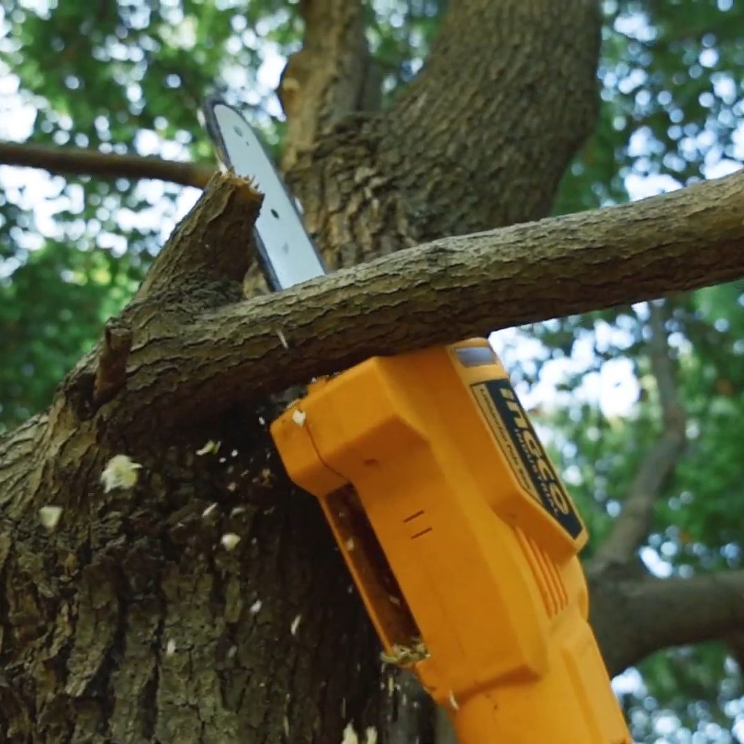 Ingco 20V Pole Hedge Trimmer & Saw Kit | Cordless | P20S