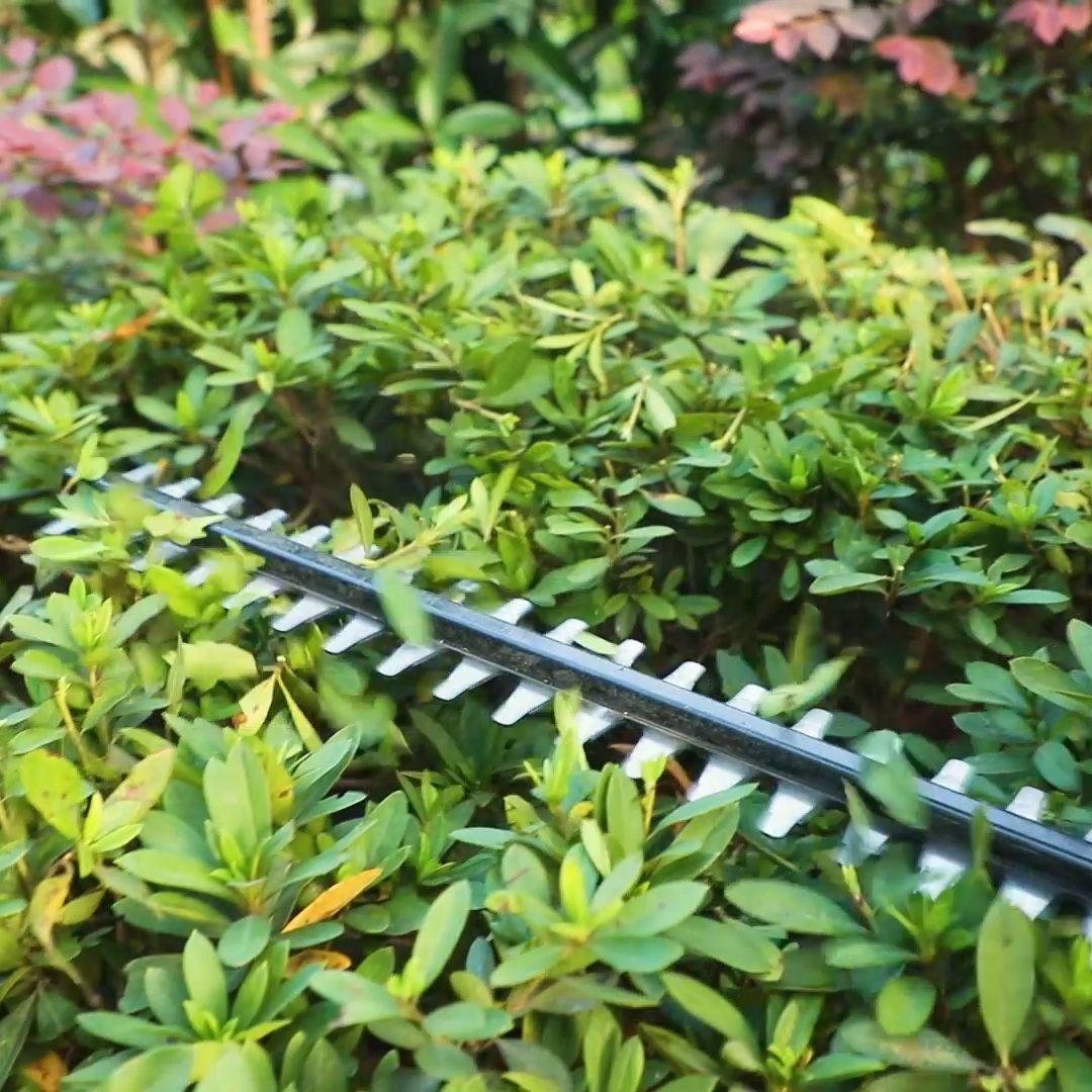 Ingco 20V PS+ C/L HEGSNYER