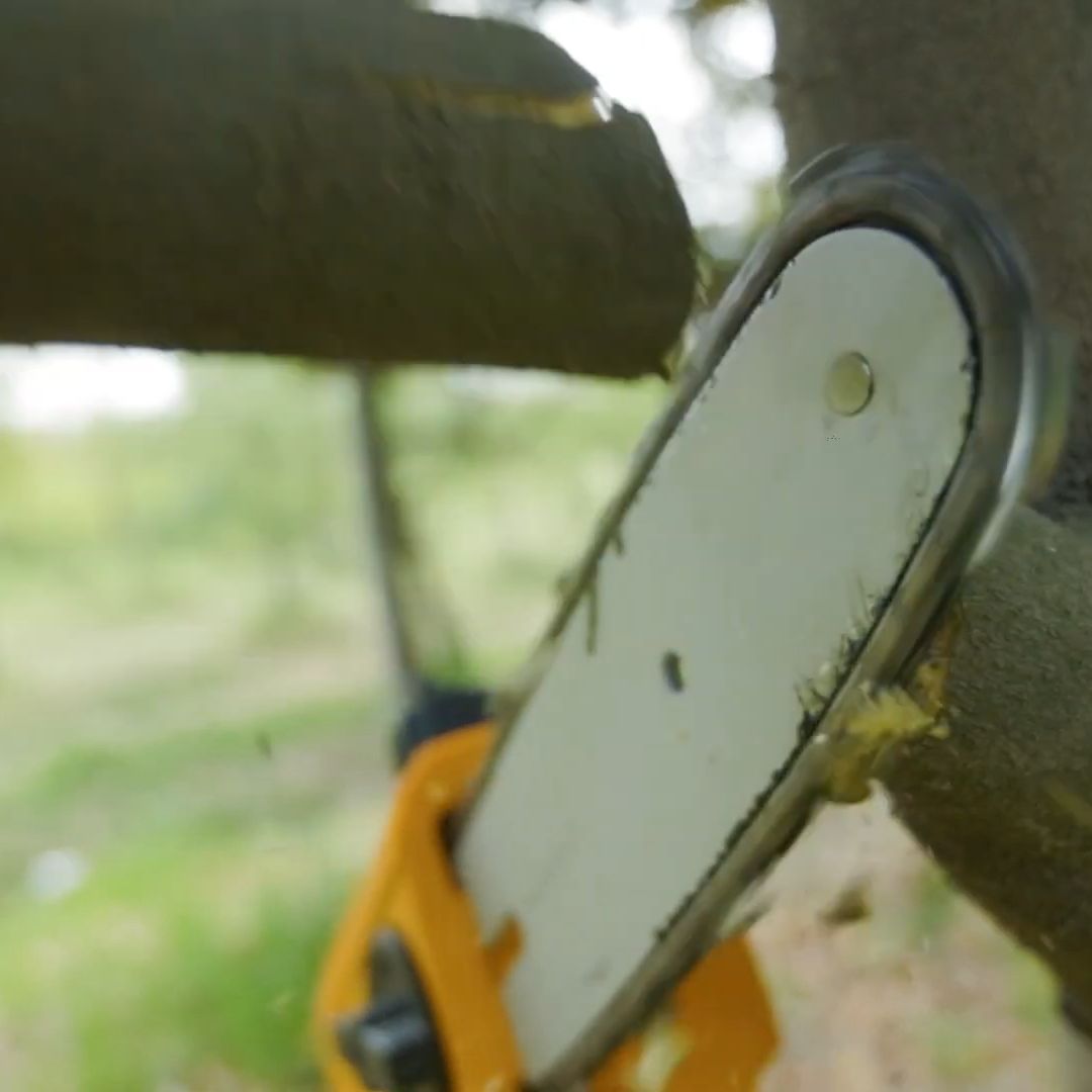 Ingco 20V Pole Hedge Trimmer & Saw Kit | Cordless | P20S