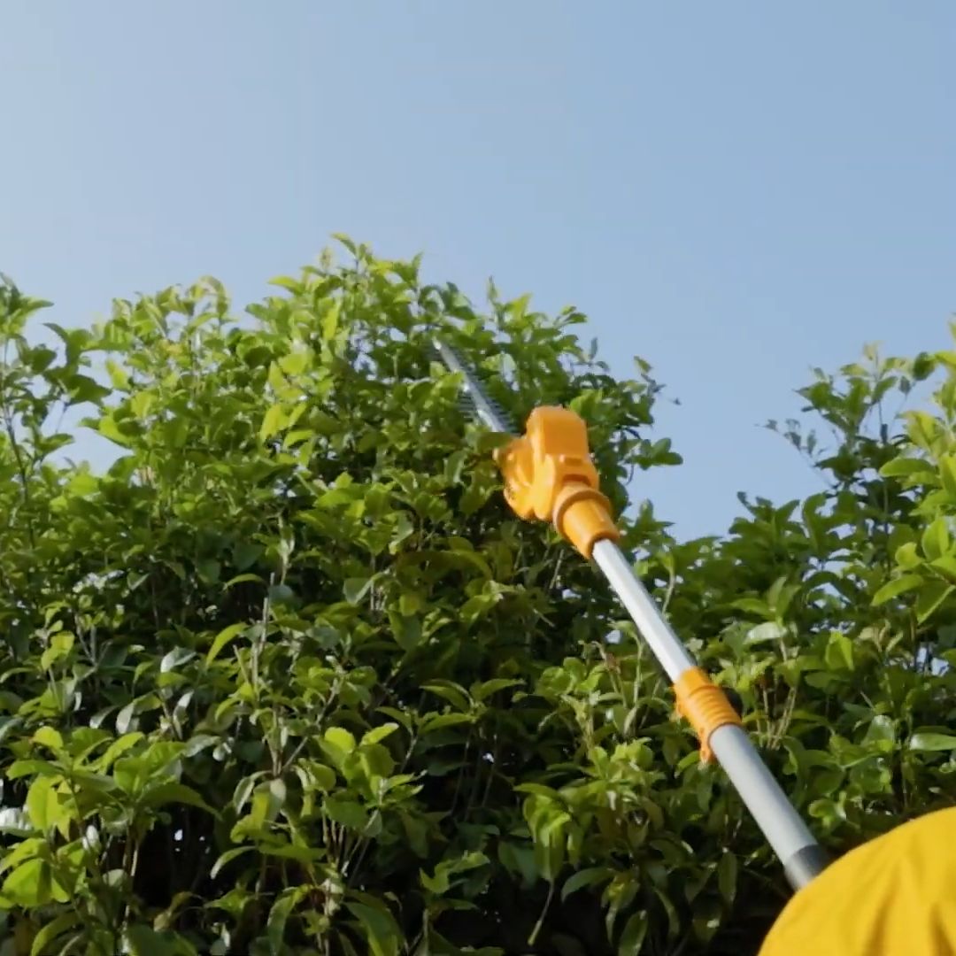 Ingco 20V Pole Hedge Trimmer & Saw Kit | Cordless | P20S