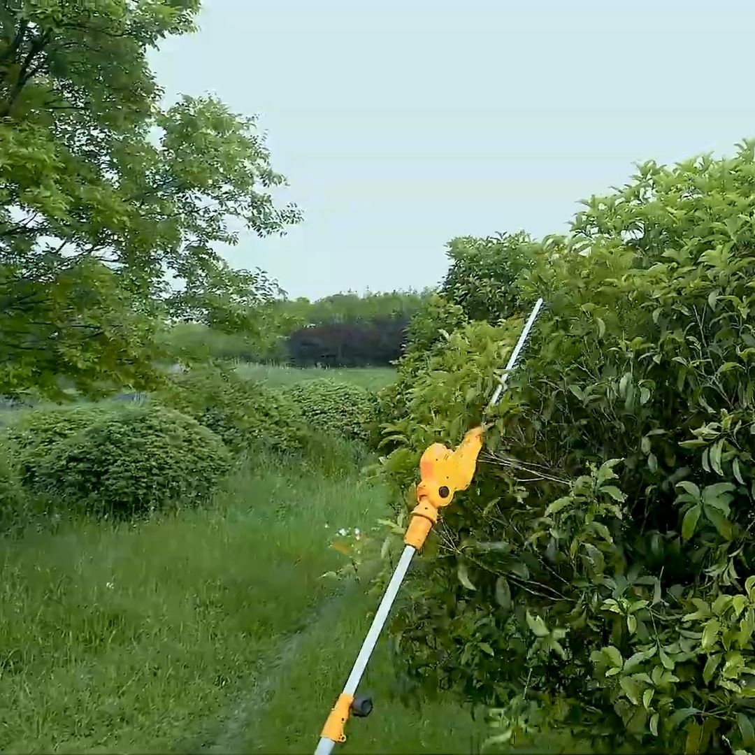 Ingco 20V Pole Hedge Trimmer & Saw Kit | Cordless | P20S