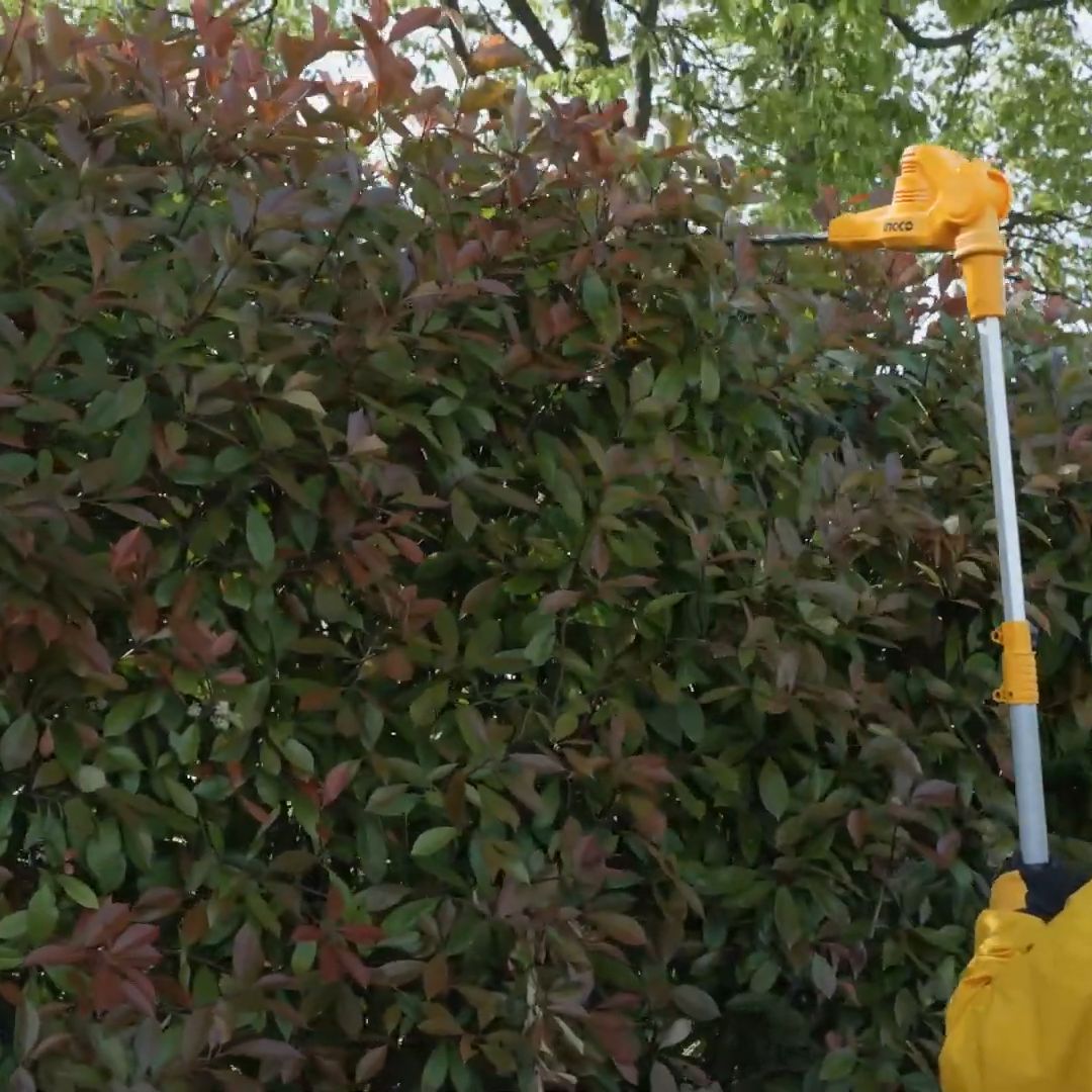 Ingco 20V Pole Hedge Trimmer & Saw Kit | Cordless | P20S