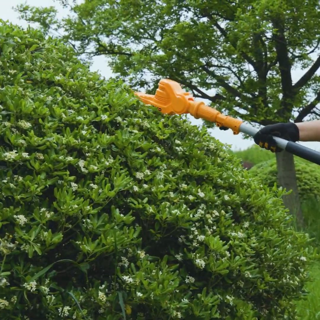 Ingco 20V Pole Hedge Trimmer & Saw Kit | Cordless | P20S