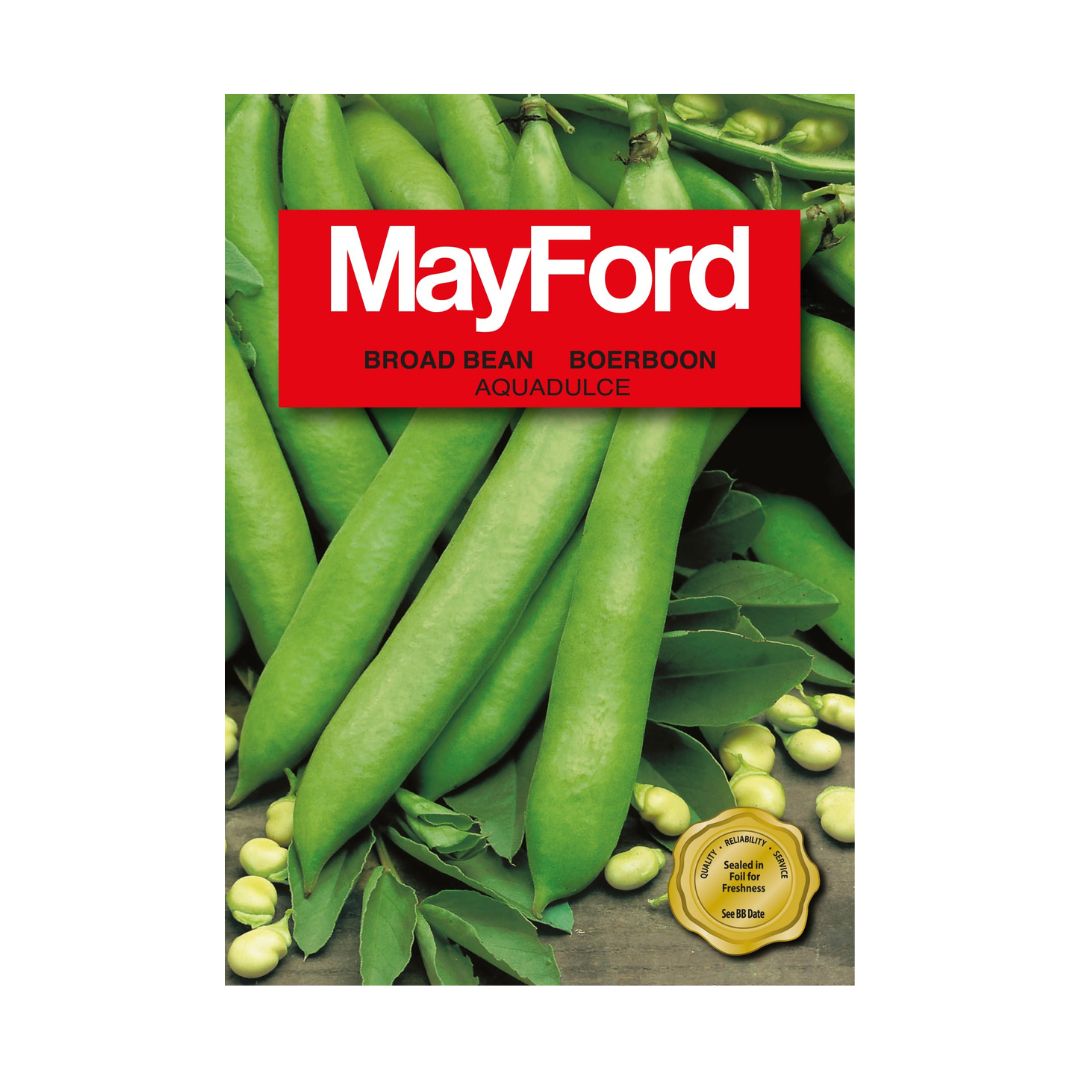 MayFord Broad Bean Seeds | Aquadulce