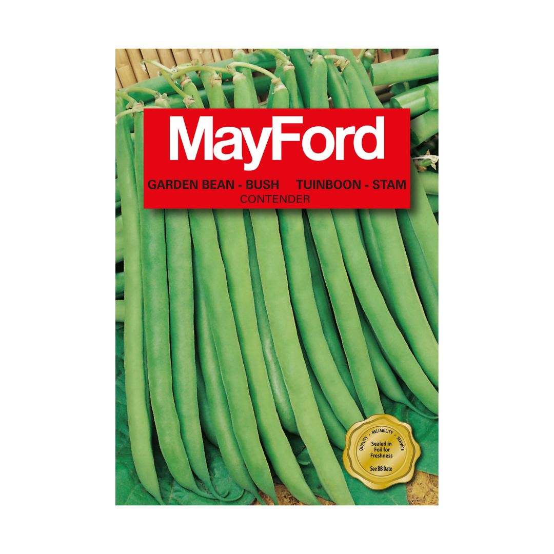 MayFord Garden Bean Seeds | Contender