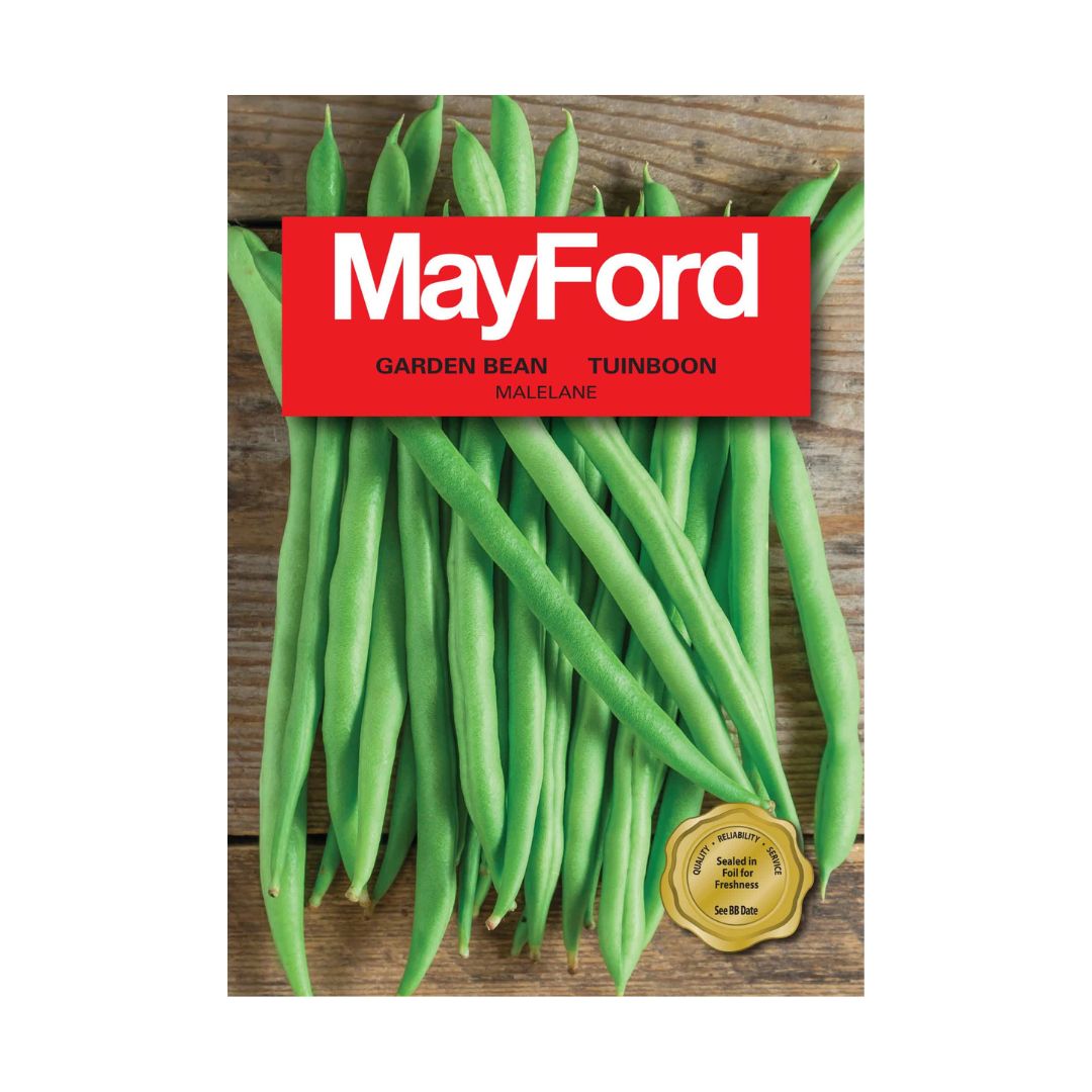 MayFord Garden Bean Seeds | Malelane