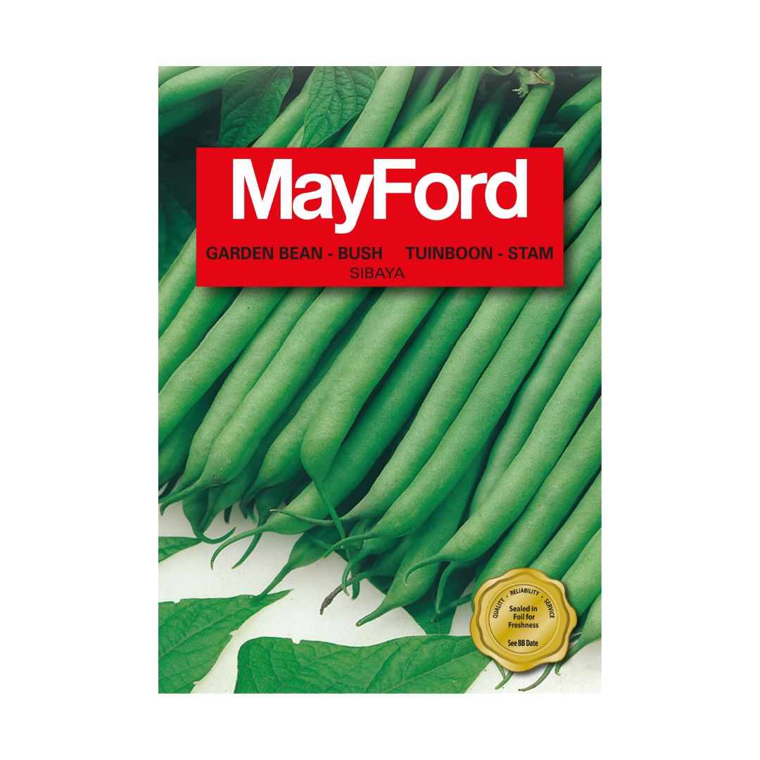 MayFord Garden Bean Seeds |Sibaya