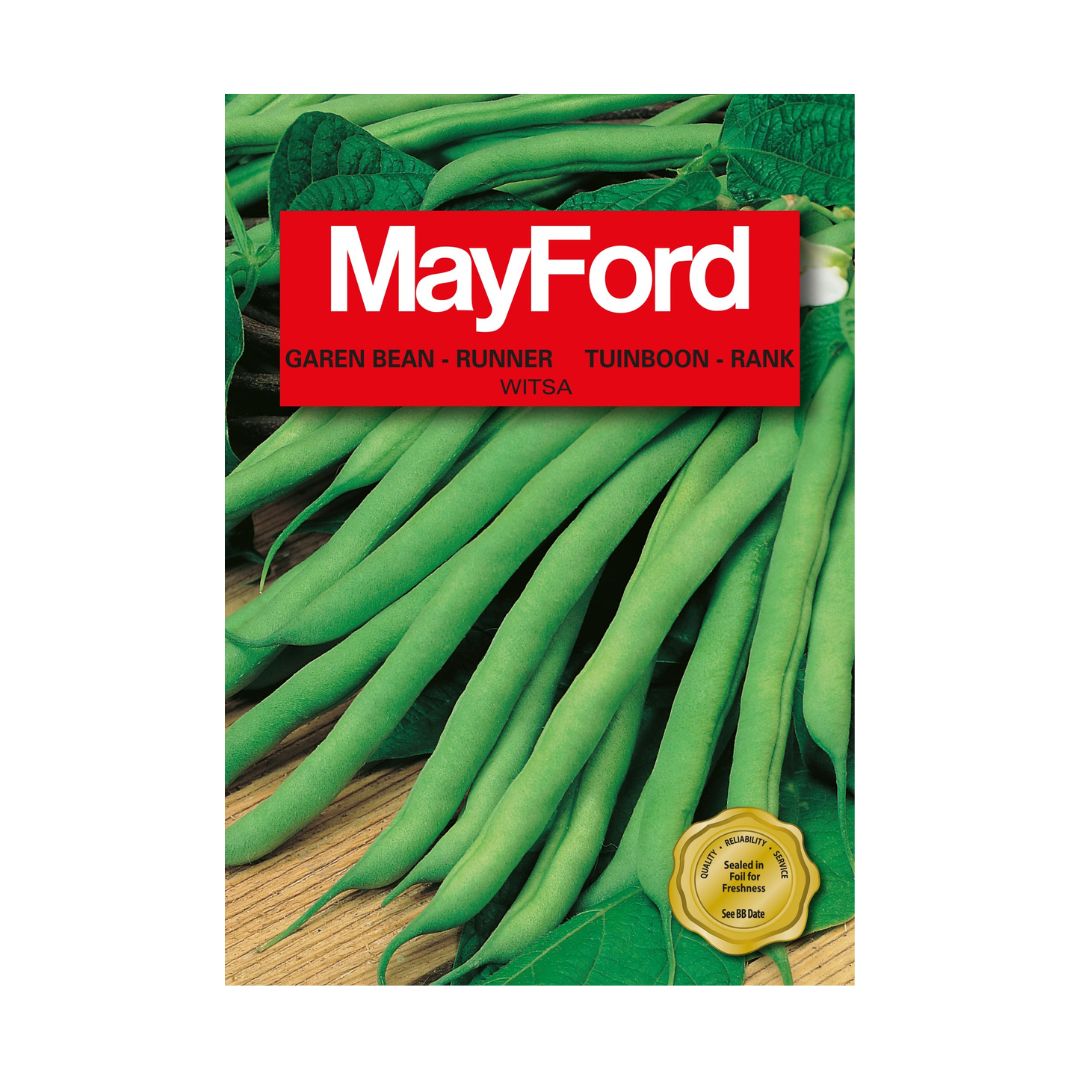 MayFord Garden Bean Seeds |Witsa
