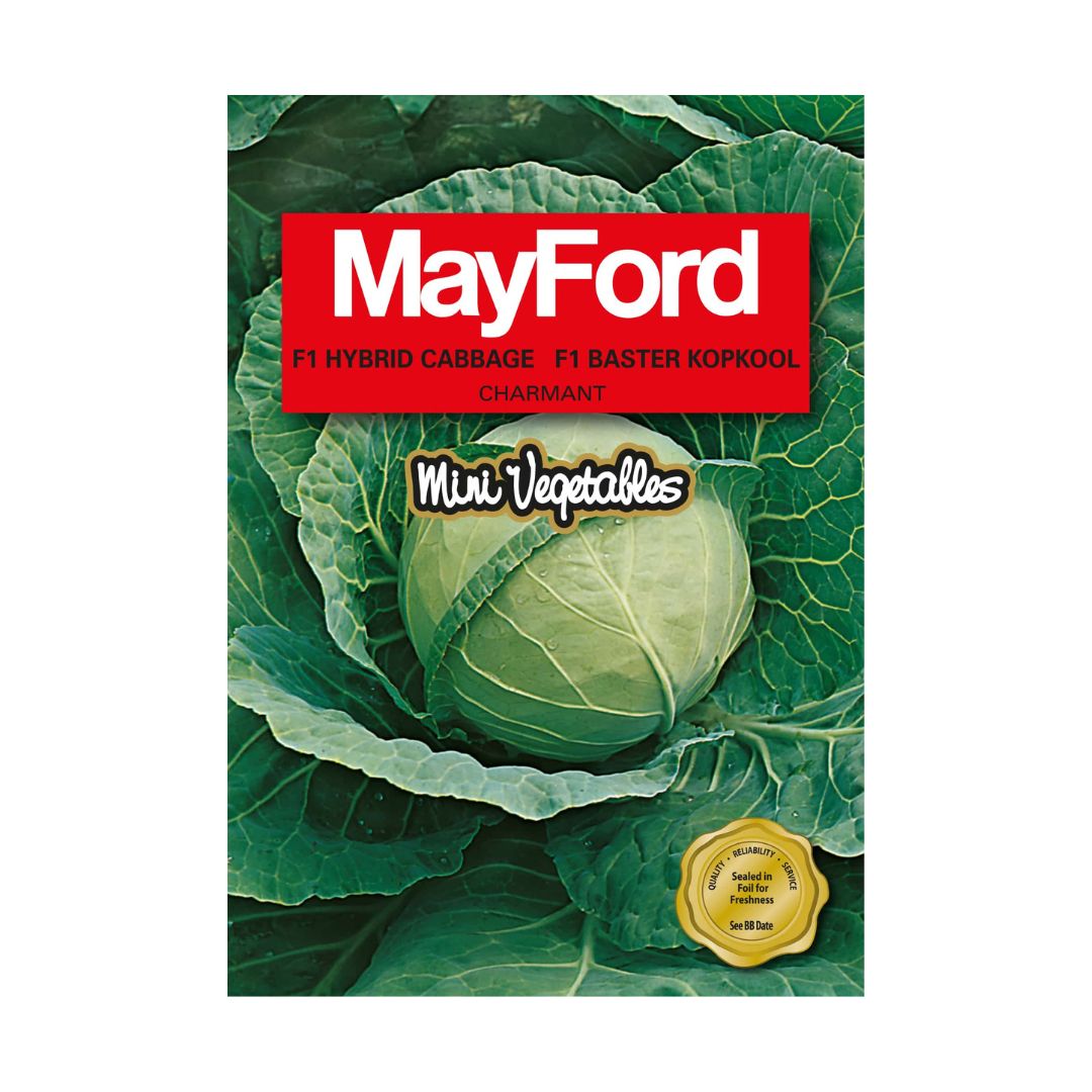 Mayford MayFord Mini Vegetable Seeds | Mini Charmant Cabbage