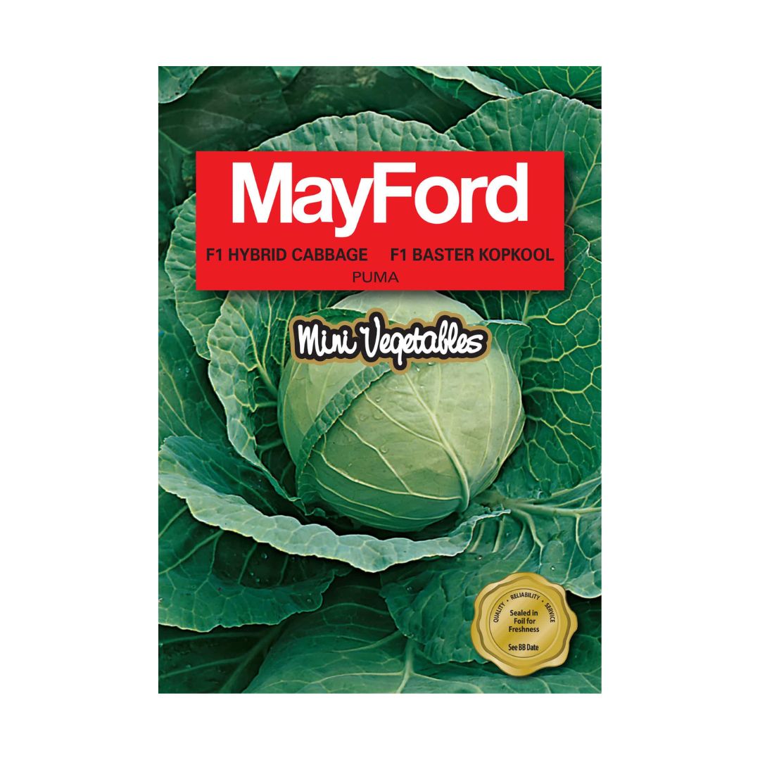 Mayford Vegetable Seeds | Mini Cabbage | Puma