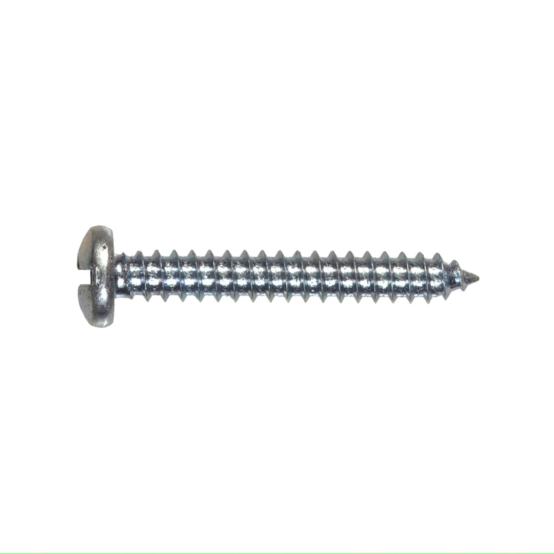 Ruwag Stainless Steel Self Tapper Pan Head 4.8x38mm (10)