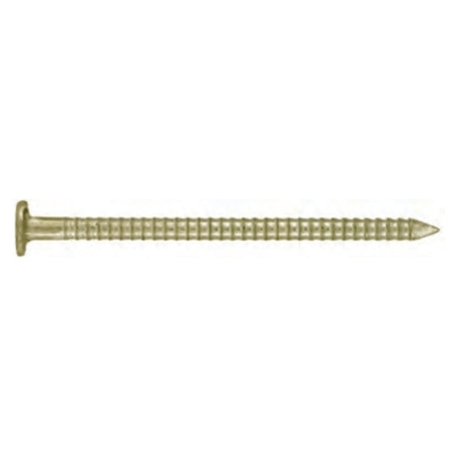 Ruwag Ring Shank Nail 100mm (500g)