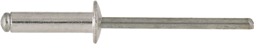 Ruwag vlekvrye staal blinde klinknagel 4.0x12mm (25)